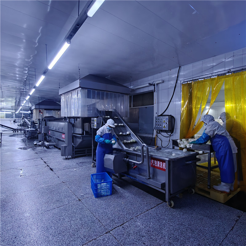 technological process